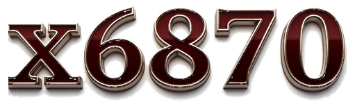 x6870 logo